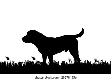 Vector silhouette of a dog in nature.