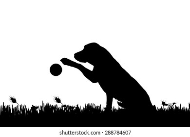 Vector silhouette of a dog in nature.
