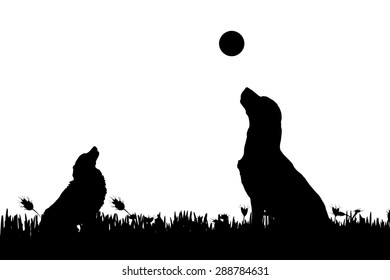 Vector silhouette of a dog in nature.