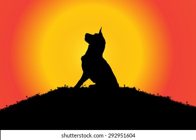 Vector silhouette of a dog in nature.