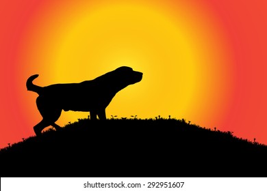 Vector silhouette of a dog in nature.