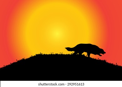 Vector silhouette of a dog in nature.