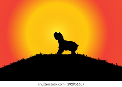 Vector silhouette of a dog in nature.