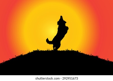 Vector silhouette of a dog in nature.