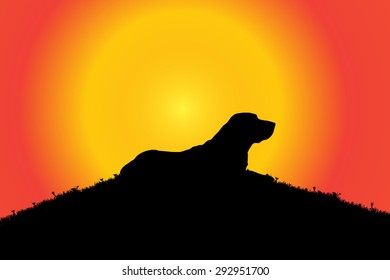 Vector silhouette of a dog in nature.