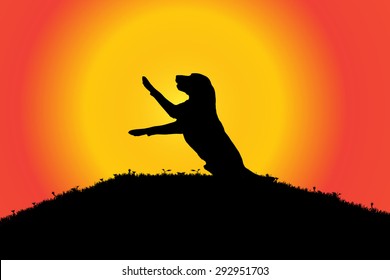 Vector silhouette of a dog in nature.