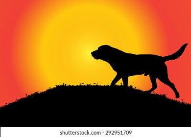 Vector silhouette of a dog in nature.