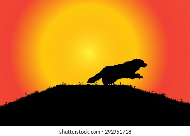 Vector silhouette of a dog in nature.