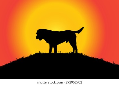 Vector silhouette of a dog in nature.