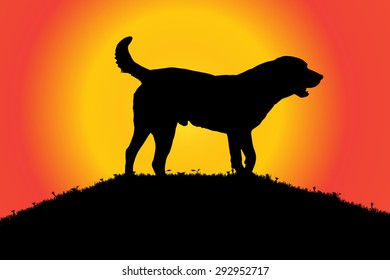 Vector silhouette of a dog in nature.