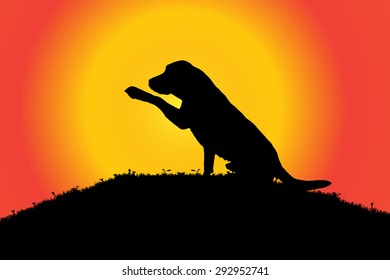 Vector silhouette of a dog in nature.