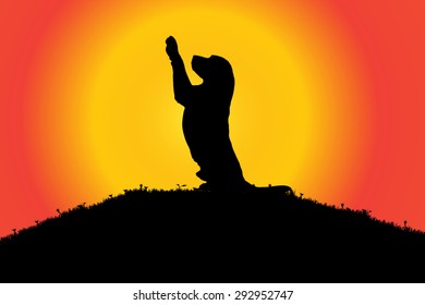 Vector silhouette of a dog in nature.