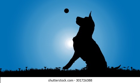 Vector silhouette of a dog in nature.