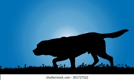 Vector silhouette of a dog in nature.