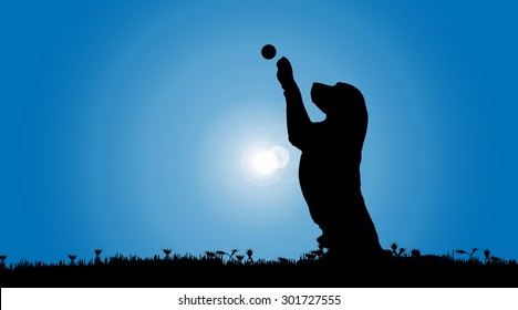 Vector silhouette of a dog in nature.