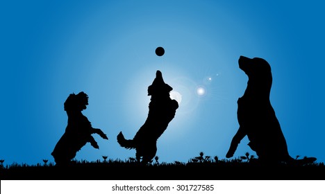 Vector silhouette of a dog in nature.