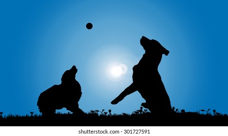 Vector silhouette of a dog in nature.