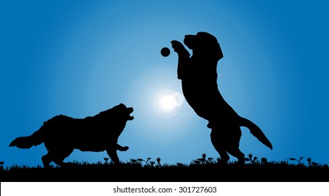 Vector silhouette of a dog in nature.
