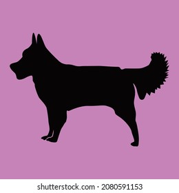 Vector silhouette of a dog in nature, Funny Dachshund Dog Vector Art, Vector image of an dog  on black  background.