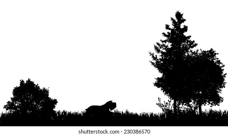 Vector silhouette of the dog in nature on a white background.