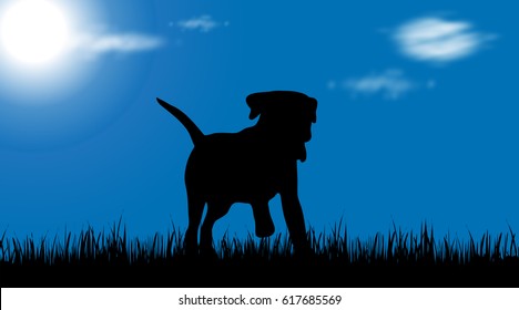 Vector silhouette of dog on garden.