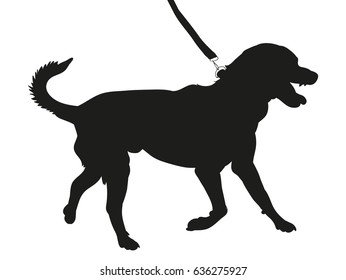 Vector, silhouette of a dog on a leash