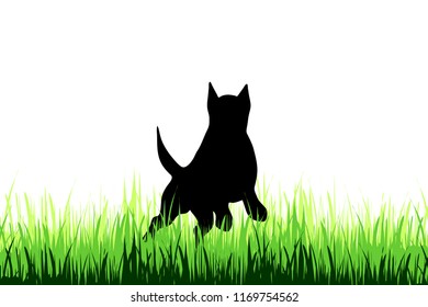 Vector silhouette of dog on a meadow on white background.