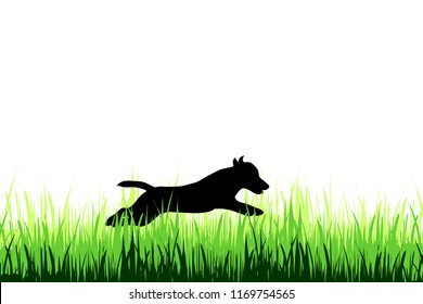 Vector silhouette of dog on a meadow on white background.