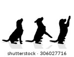 Vector silhouette of a dog on a white background.