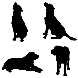 Vector Silhouette Of A Dog On White Background.