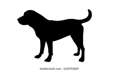 Vector silhouette of dog on white background.