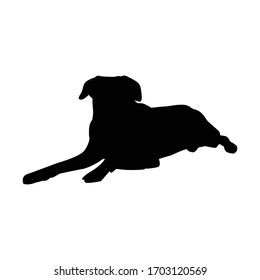 Vector silhouette of a dog on a white background.