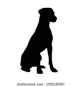 Vector silhouette of a dog on a white background.