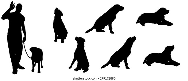 Vector silhouette of a dog on a white background. 