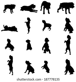 Vector silhouette of a dog on a white background.