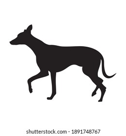 Vector silhouette of dog on white background.
