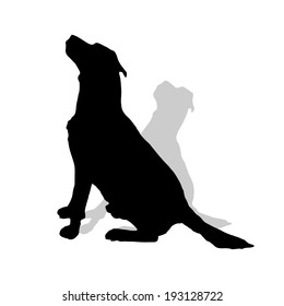 Vector silhouette of a dog on a white background.