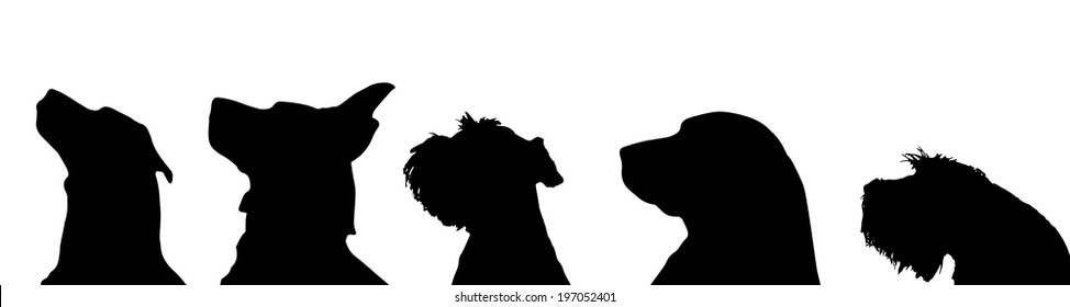 Vector silhouette of a dog on a white background.