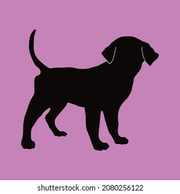 Vector silhouette of a dog on a white background. Funny Dachshund Dog Vector Art