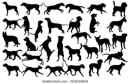 Vector silhouette of dog on white background