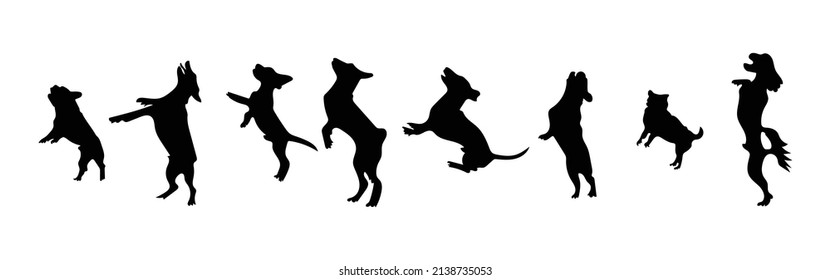 Vector silhouette of a dog on white background.

