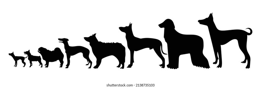 Vector silhouette of a dog on white background.
