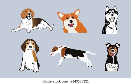 
Vector silhouette of dog on white background.
