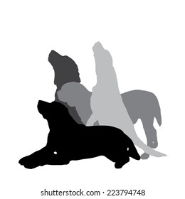 Vector silhouette of a dog on a white background.
