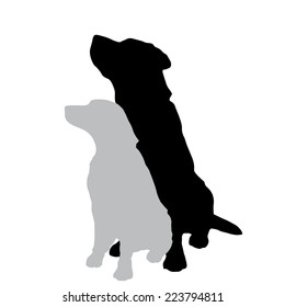 Vector silhouette of a dog on a white background.