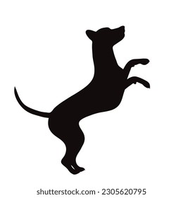 Vector silhouette of dog on white background. Symbol of pet.