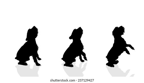 Vector silhouette of a dog on a white background.