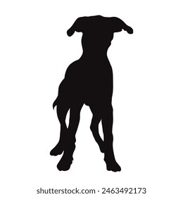 Vector silhouette of dog on white background. Symbol of pet and happy life.