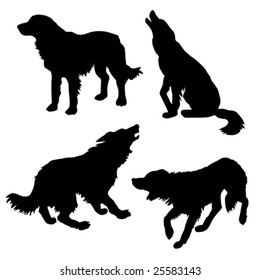 vector silhouette of the dog on white background