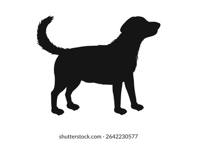 Vector silhouette of dog on white background. cutout dog. hand drawn design. vector illustration